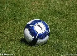 网友喜闻佟,丽娅离婚决,当事人曾强,江南体育平台,江南体育官方网站,江南体育登录入口,江南体育app下载