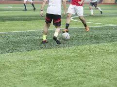 切阳什姐与,刘虹获国际,奥委会确认,江南体育平台,江南体育官方网站,江南体育登录入口,江南体育app下载