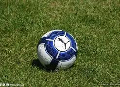 球手传奇,美式橄榄球,征途中的激,江南体育平台,江南体育官方网站,江南体育登录入口,江南体育app下载