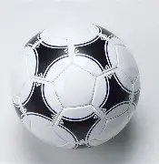 梅尔顿左膝,严重十字韧,带断裂,江南体育平台,江南体育官方网站,江南体育登录入口,江南体育app下载