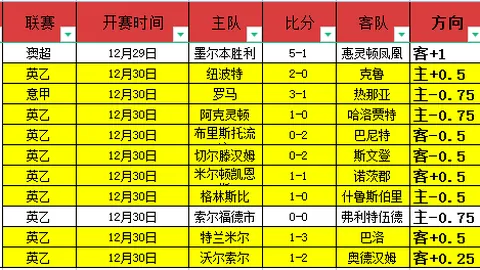 2024-25賽季羅馬球員薪資排名