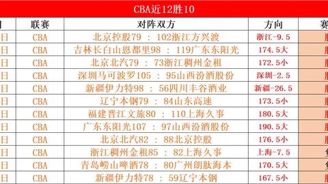 冰雪盛宴：冬日暖阳狂欢盛典